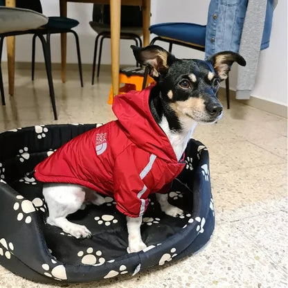 Veste pour chien avec doublure