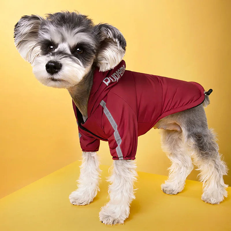 Veste pour chien avec doublure