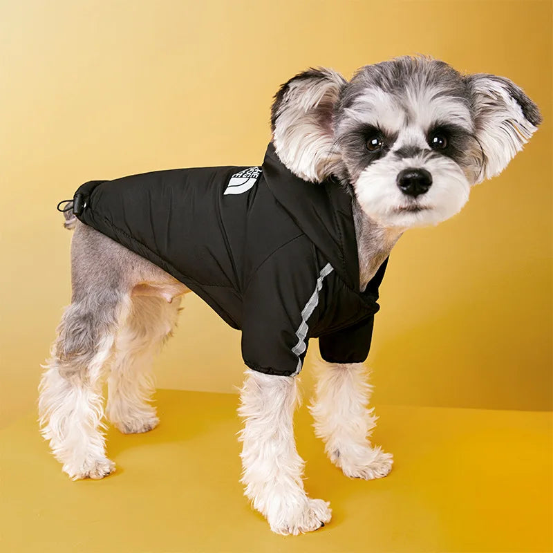 Veste pour chien avec doublure