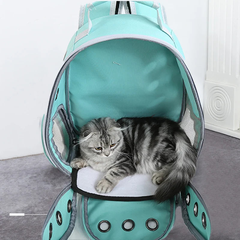 Sac de transport pour chat