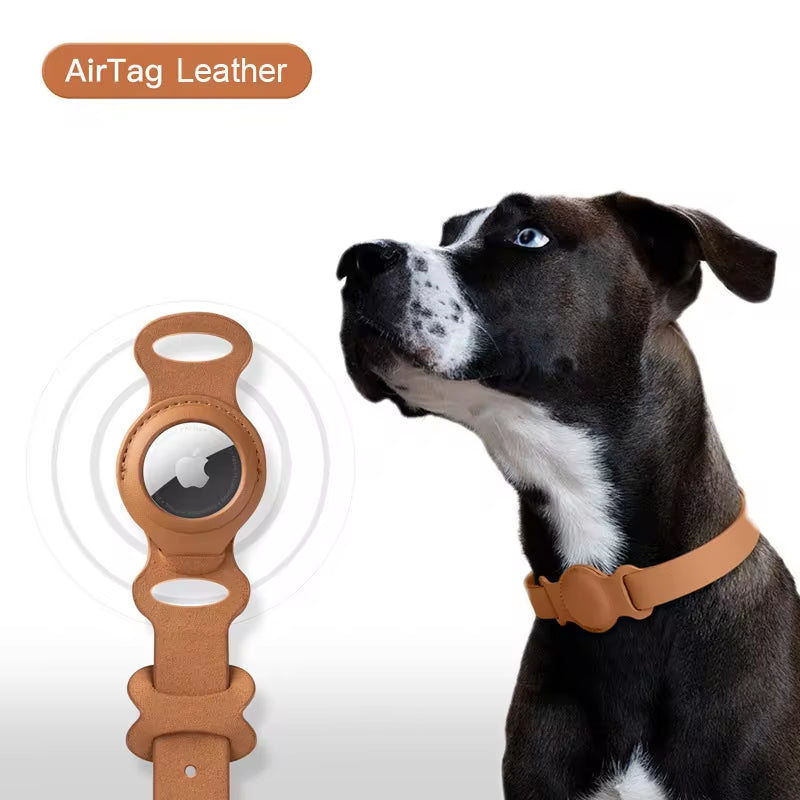 Collier chien et chat avec support AirTag